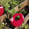 Quut Outdoor Toy Watering Can Cana (L) (Cherry)