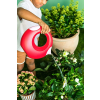 Quut Outdoor Toy Watering Can Cana (L) (Cherry)