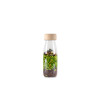 Petit Boum Sensory Toy Bottle Pack (Nature)