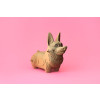 Cartonic 3D Sculpture Puzzle Corgi