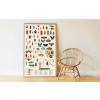 Poppik Discovery Sticker Poster - Insects