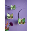 Studio Roof Insects - Fern Striped Butterflies set of 3