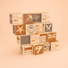 Uncle Goose Wooden Blocks - Fossil