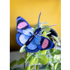 Studio Roof Insect (S) - Peacock Butterfly