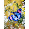 Studio Roof Insect (S) - Peacock Butterfly