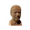 Cartonic 3D Sculpture Puzzle Joe Biden