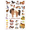 Poppik Mini Discovery Poster - Pony Club