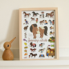 Poppik Mini Discovery Poster - Pony Club