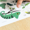 Poppik Mini Discovery Poster - Jungle (Green)