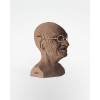 Cartonic 3D Sculpture Puzzle Mahatma Gandhi