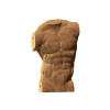 Cartonic 3D Sculpture Puzzle Male Torso