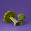 Cartonic 3D Sculpture Puzzle Mushrooms