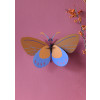 Studio Roof Insect (L) - Ochre Costa Butterfly