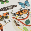 Poppik Jigsaw Puzzle 500pc - Insects