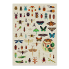 Poppik Jigsaw Puzzle 500pc - Insects