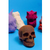 Cartonic 3D Sculpture Puzzle Skull