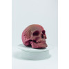 Cartonic 3D Sculpture Puzzle Skull