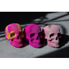 Cartonic 3D Sculpture Puzzle Skull