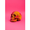 Cartonic 3D Sculpture Puzzle Skull