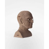 Cartonic 3D Sculpture Puzzle Steve Jobs