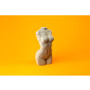 Cartonic 3D Sculpture Puzzle Female Torso