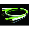 Neo d+ Class B RCA 1M